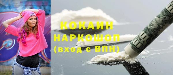 сатива Абинск