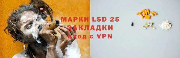 шишки Абаза