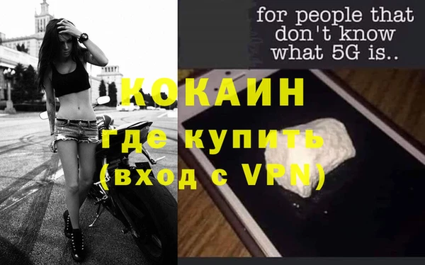 сатива Абинск