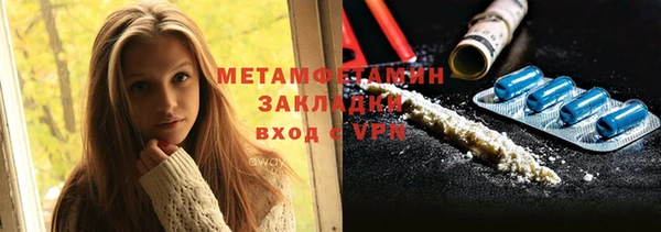 шишки Абаза