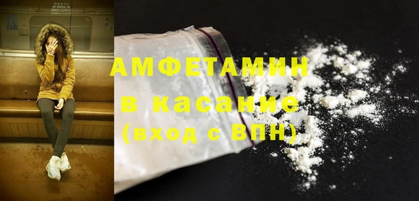 шишки Абаза