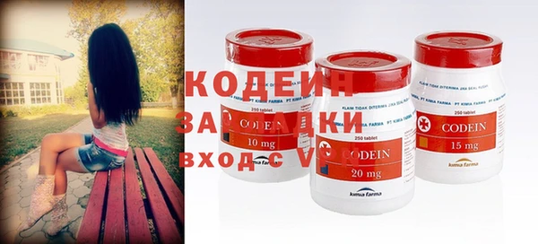 шишки Абаза